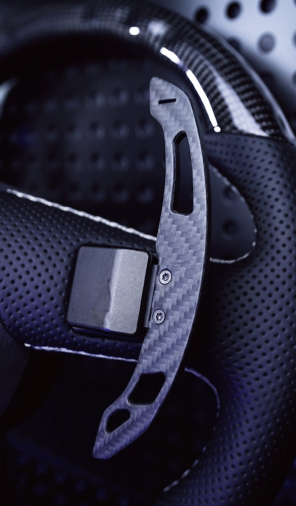 Magnetische paddels van geperforeerd twill carbon voor SEAT, kleur zwart